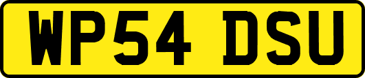 WP54DSU