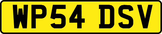 WP54DSV