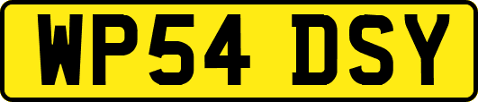 WP54DSY