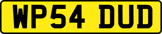 WP54DUD