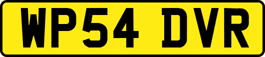 WP54DVR