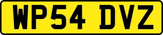 WP54DVZ