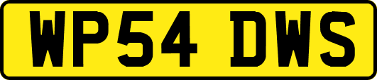 WP54DWS