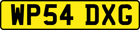 WP54DXG