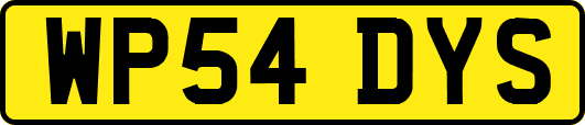 WP54DYS