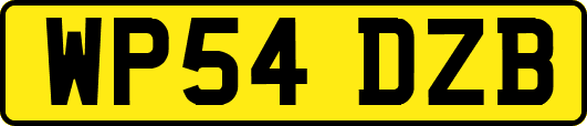 WP54DZB