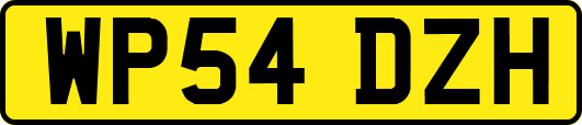 WP54DZH