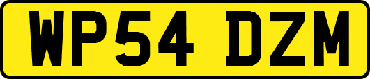 WP54DZM