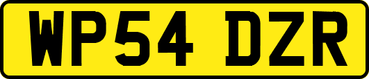 WP54DZR