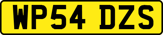 WP54DZS