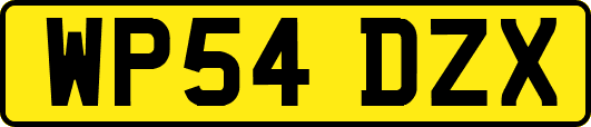 WP54DZX