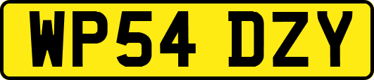 WP54DZY