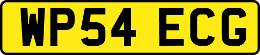 WP54ECG