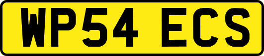 WP54ECS