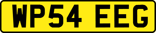 WP54EEG