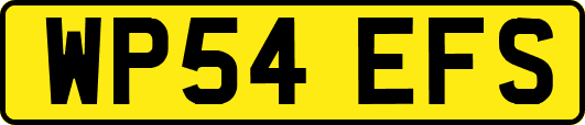 WP54EFS