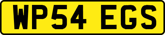 WP54EGS