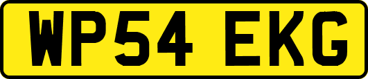 WP54EKG