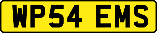WP54EMS