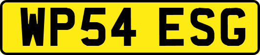 WP54ESG