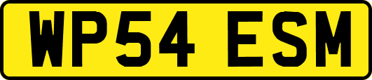 WP54ESM