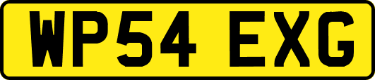 WP54EXG