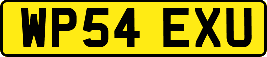 WP54EXU