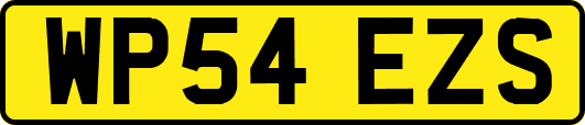WP54EZS
