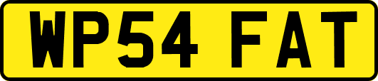 WP54FAT