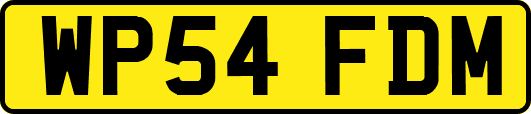 WP54FDM