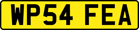 WP54FEA