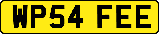 WP54FEE