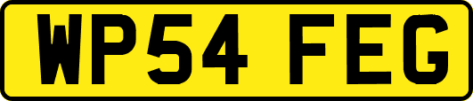 WP54FEG