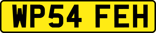 WP54FEH