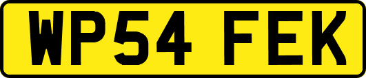 WP54FEK