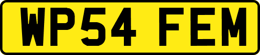 WP54FEM