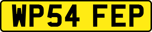 WP54FEP