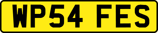 WP54FES