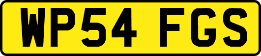WP54FGS