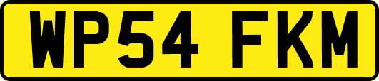 WP54FKM