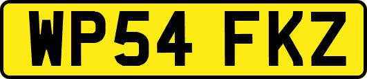 WP54FKZ