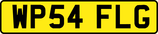 WP54FLG