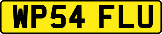 WP54FLU