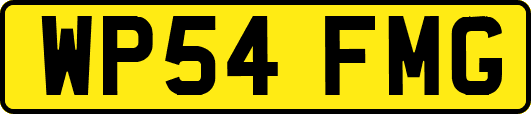 WP54FMG