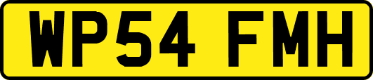 WP54FMH