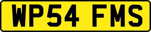 WP54FMS