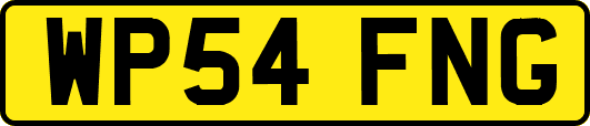 WP54FNG
