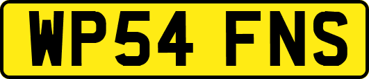 WP54FNS