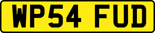WP54FUD
