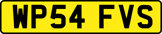WP54FVS